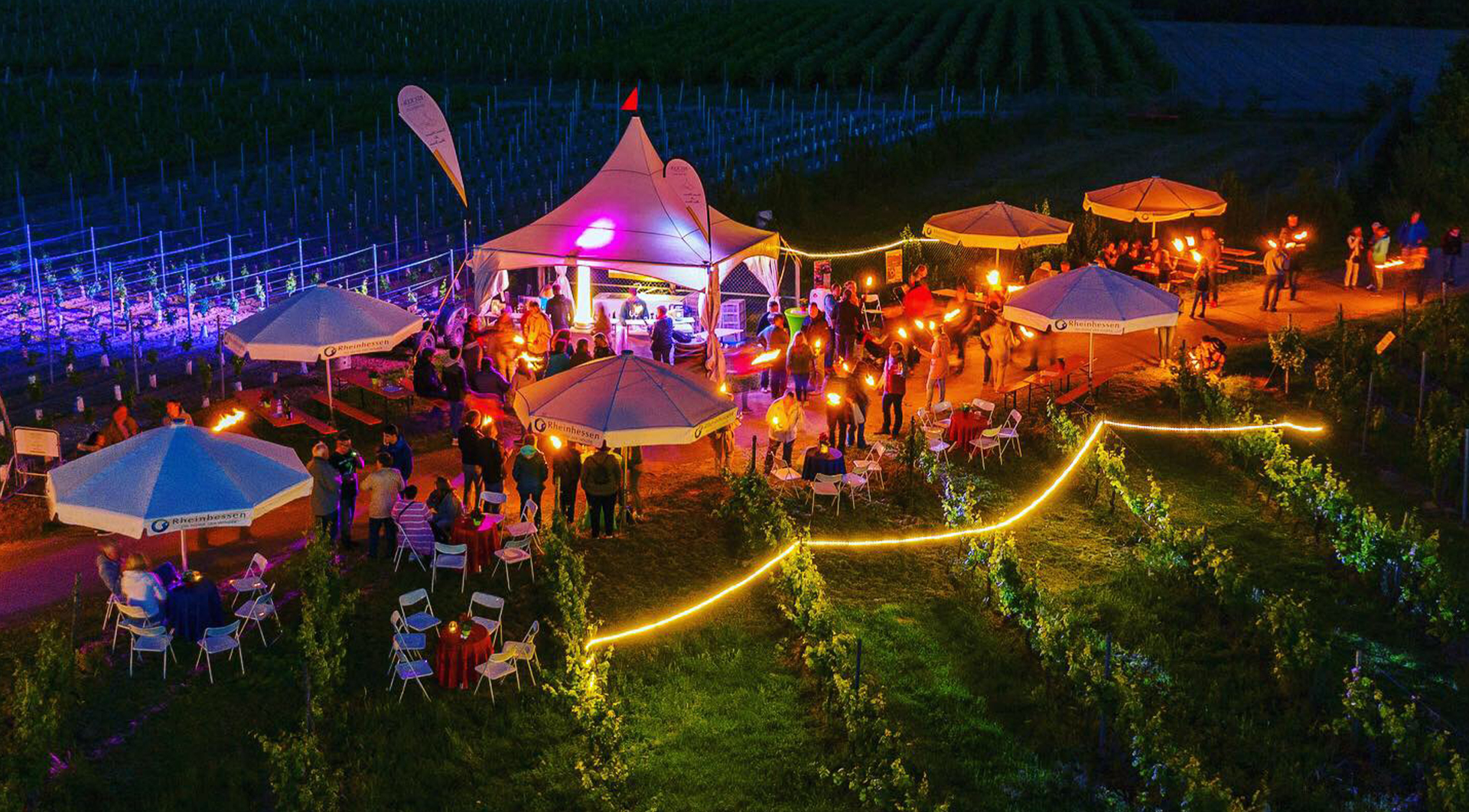Becker Das Weingut Mainz Am Rhein becker-das-weingut-mainz-am-rhein